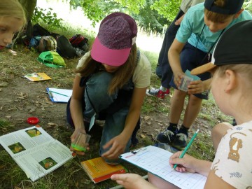 Zajęcia edukacyjne na łące - czyli zapoznajemy się z zapylaczami w ramach Wielkiego Dnia Pszczół, 